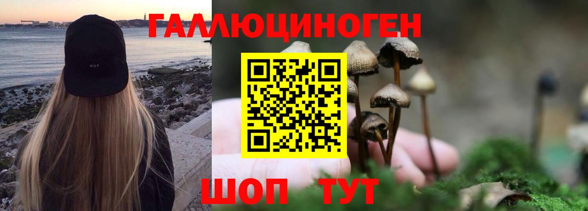 Лобня  Галлюциногенные грибы MAGIC MUSHROOMS  Галлюциногенные грибы MAGIC MUSHROOMS  Вход с VPN 